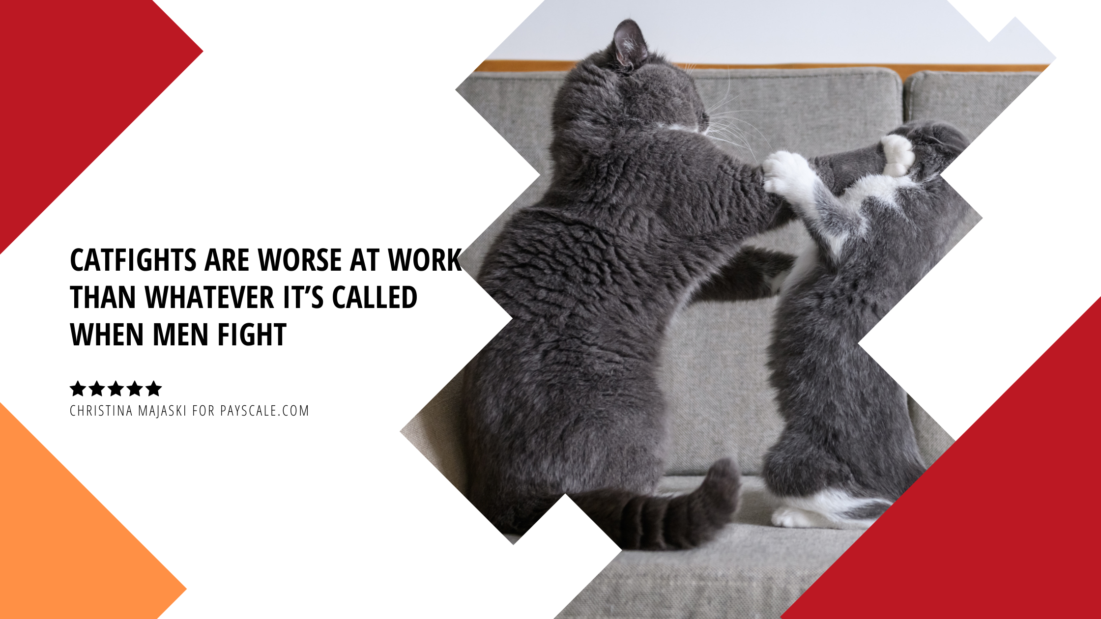 CATFIGHTS ARE WORSE AT WORK THAN WHATEVER IT’S CALLED WHEN MEN FIGHT